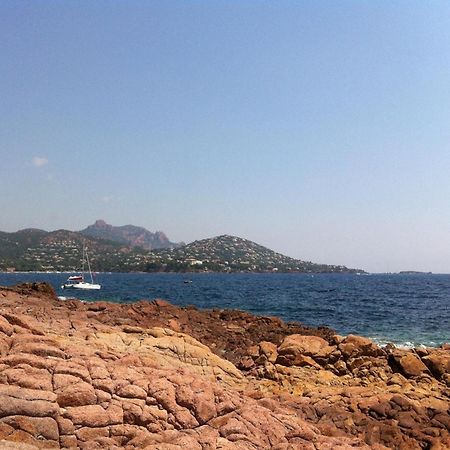 Appt Confort 3 Pieces Avec Terrasse Et Piscine A Saint-Raphael - Fr-1-226A-124 Buitenkant foto